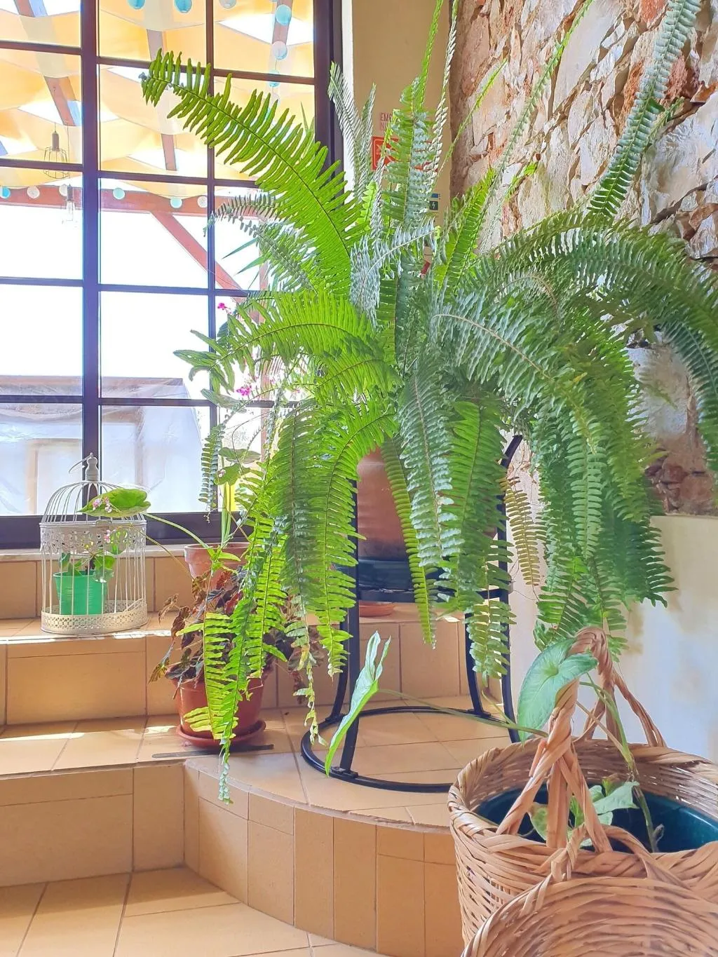 Room, Sunlight House, Algarve