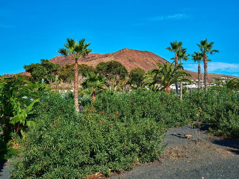 General view, Hipotels Natura Palace, Lanzarote