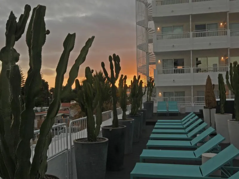 Terrace, Gold By Marina, Gran Canaria