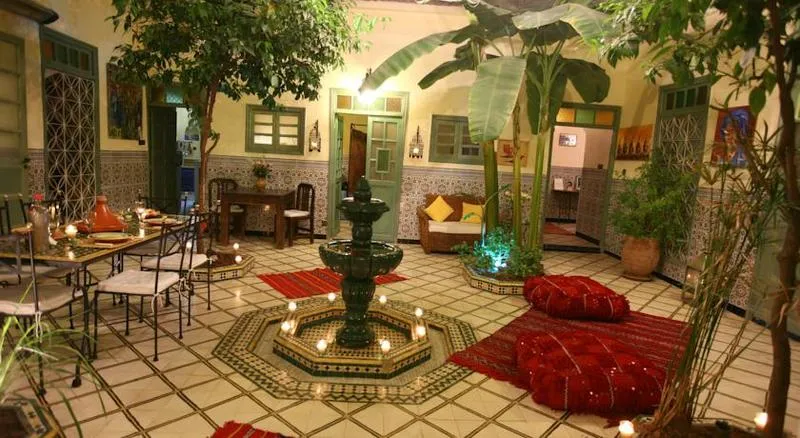 General view, Riad Dar Limoun Amara, Marrakech