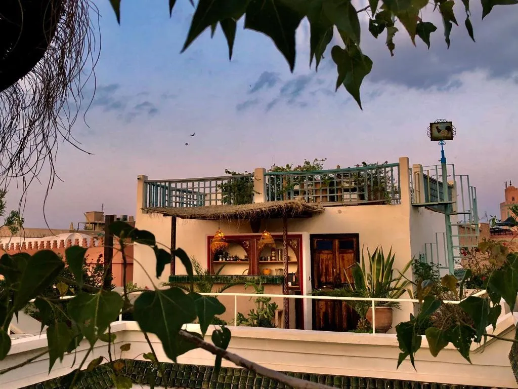 General view, Riad Le Coq Fou, Marrakech