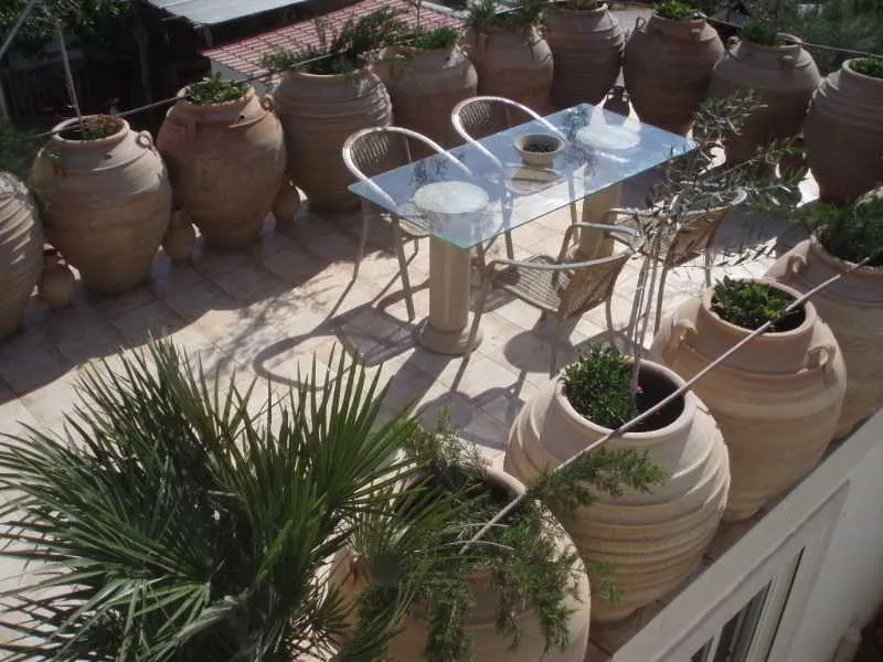 Terrace, Oasis, Crete