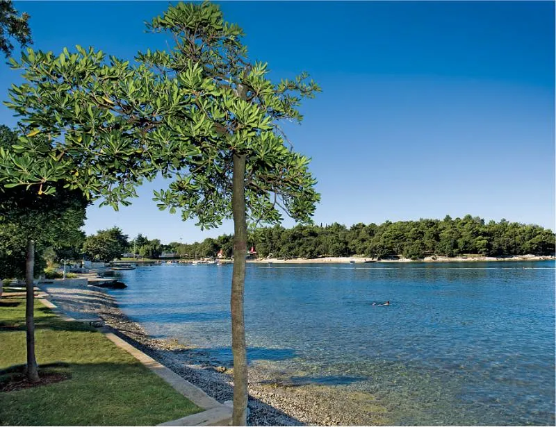 Beach, Hotel Zorna Plava Laguna, Istria