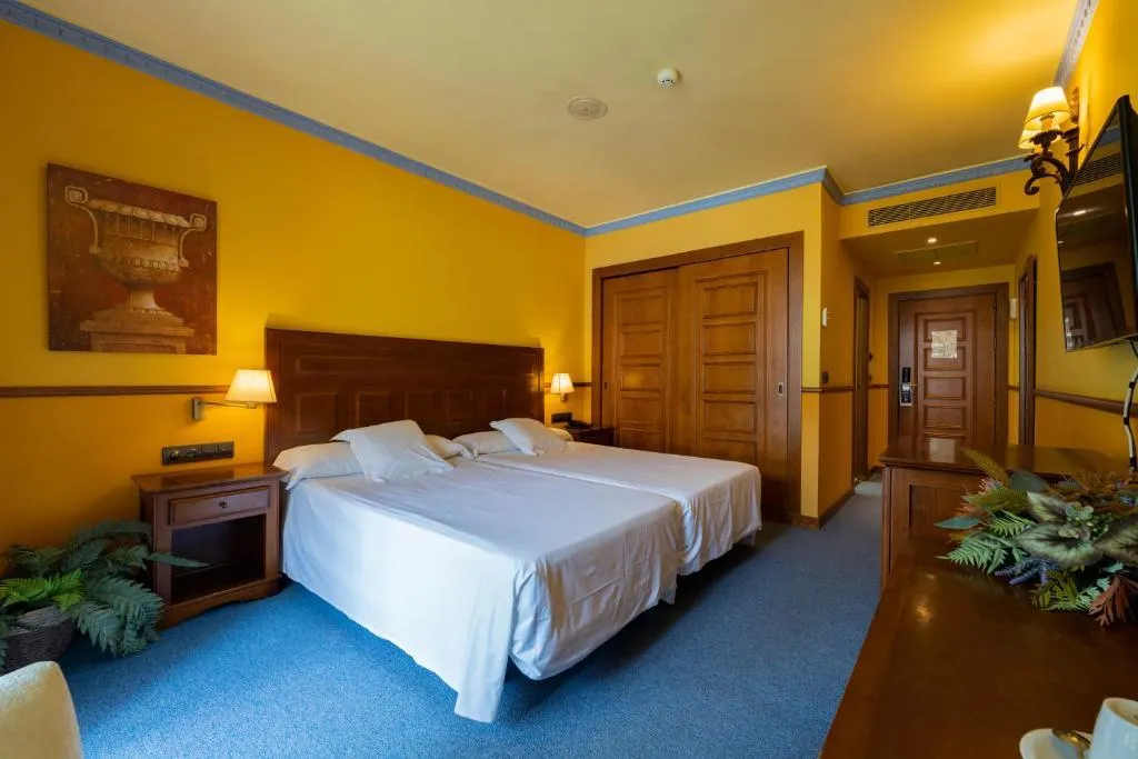 DOUBLE SINGLE USE POOL VIEW Room, Silken Antequera Hills, Andalucia