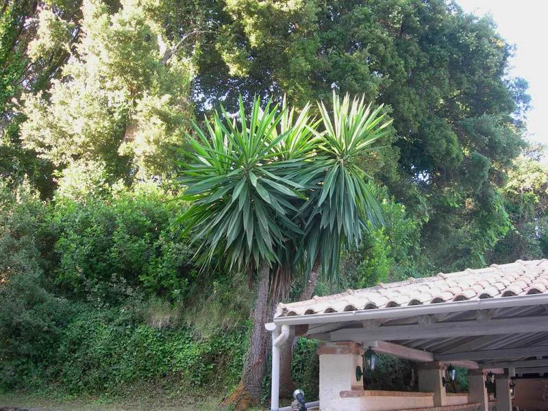 General view, Villa Karmar, Corfu