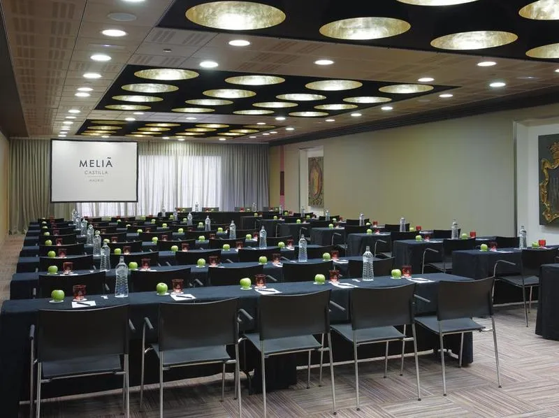 Conferences, Melia Castilla, Madrid