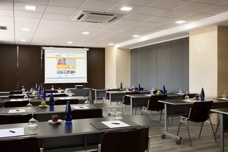 Conferences, Hotel Chamartin the One, Madrid