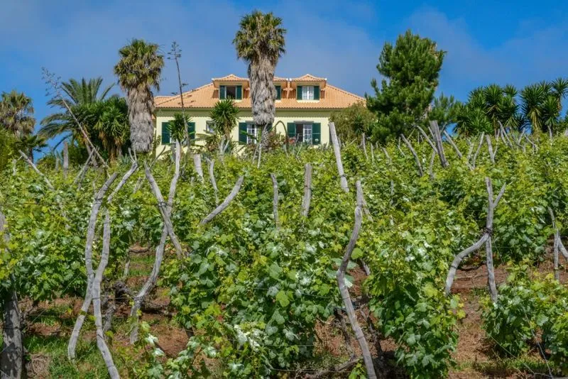 General view, Quinta Alegre, Madeira