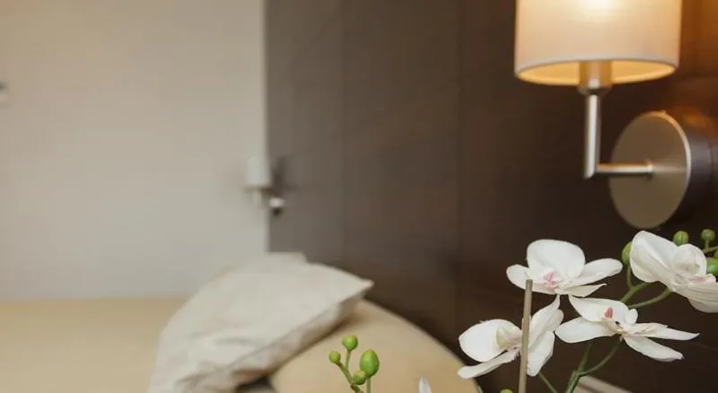 SINGLE STANDARD Room, FC Villalba, Madrid