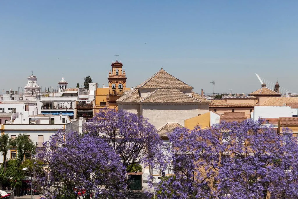 Pool, Don Paco, Seville