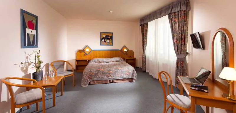 SINGLE STANDARD Room, Hotel Concertino Zlata Husa, Prague