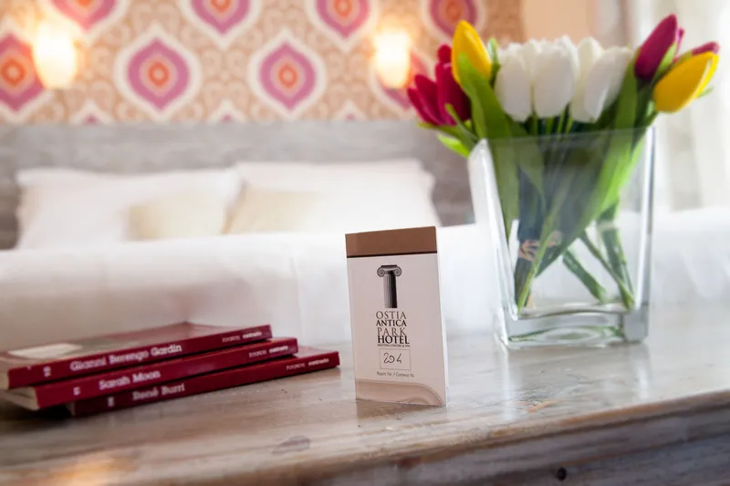 DOUBLE SINGLE USE STANDARD Room, Ostia Antica Park Hotel & Spa, Rome