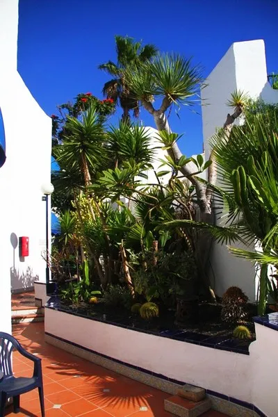 General view, Playaflor Chill-Out Resort, Tenerife