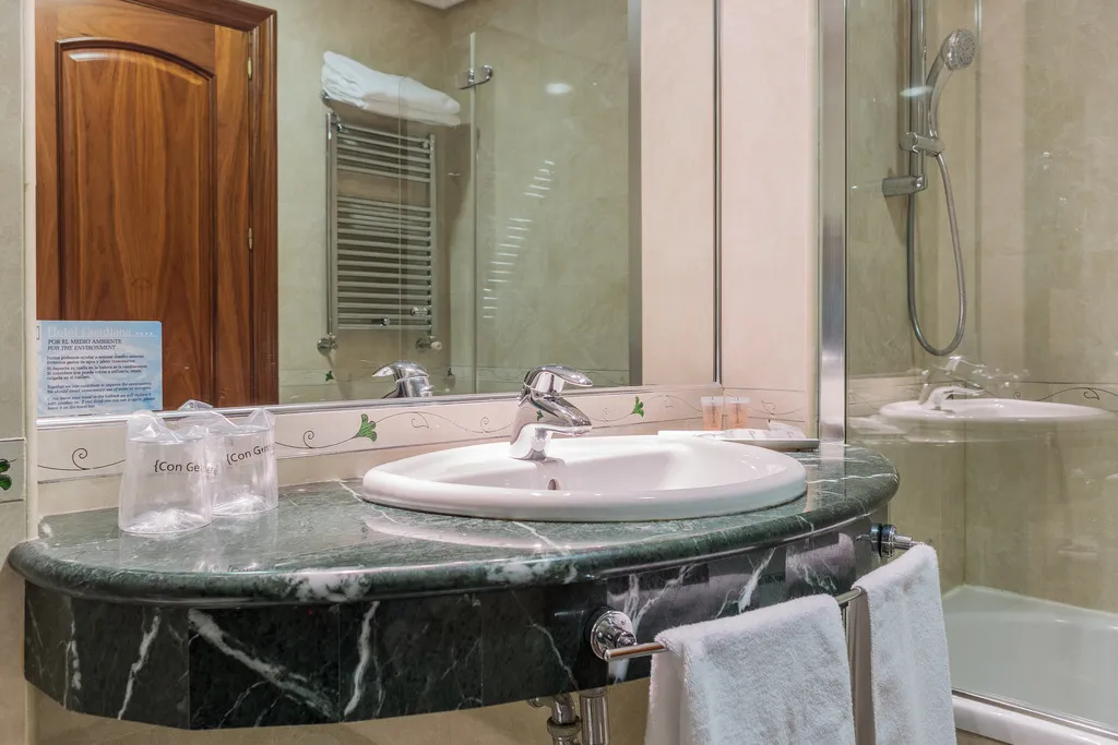 DOUBLE STANDARD Room, Sercotel Guadiana, Madrid