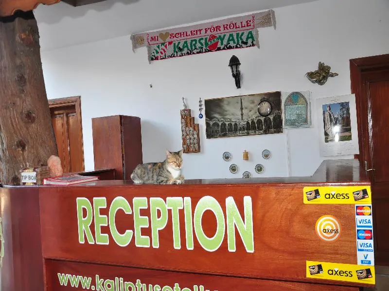 Lobby, Kaliptus Hotel, Antalya