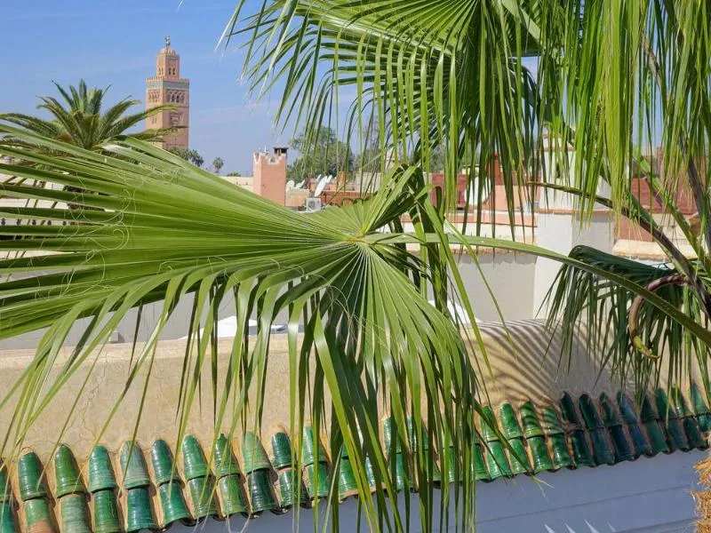 General view, Riad Al Assala, Marrakech