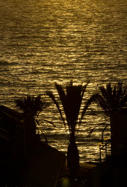 Beach, Alexandre Gala, Tenerife