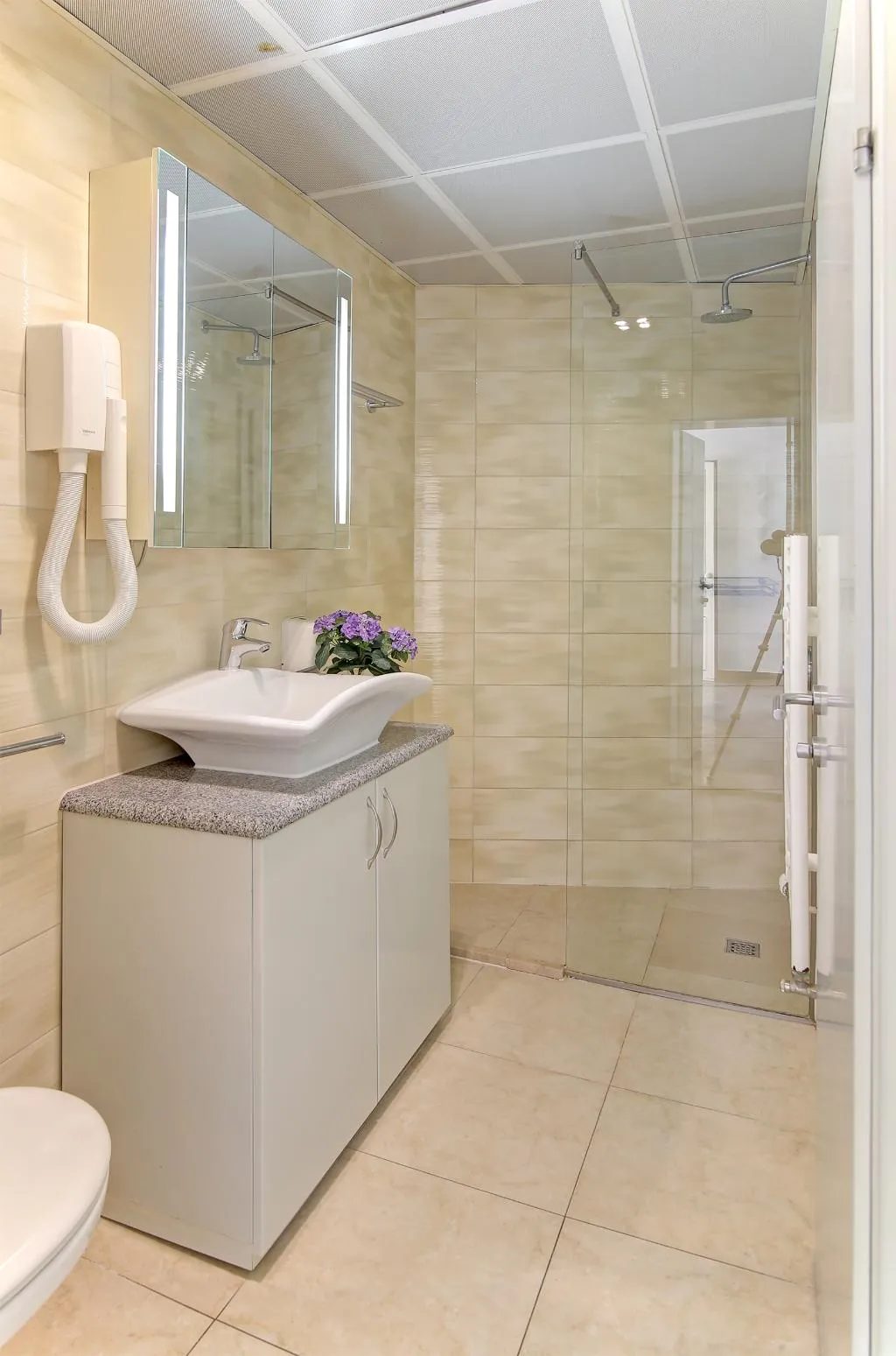 APARTMENT SUPERIOR TWO BEDROOMS Room, Villa Antea, Dubrovnik