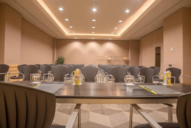 Conferences, Sercotel Pozuelo, Madrid