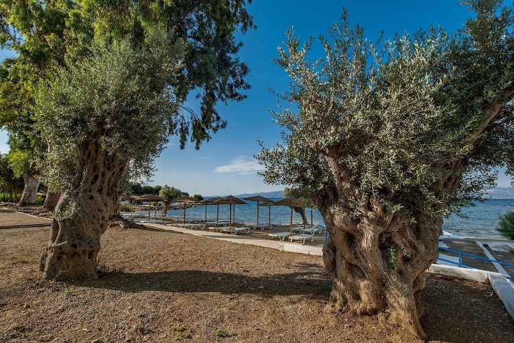 Evia Riviera Resort, Athens