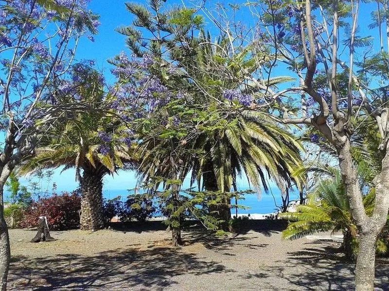 General view, Los Castellanos, La Palma