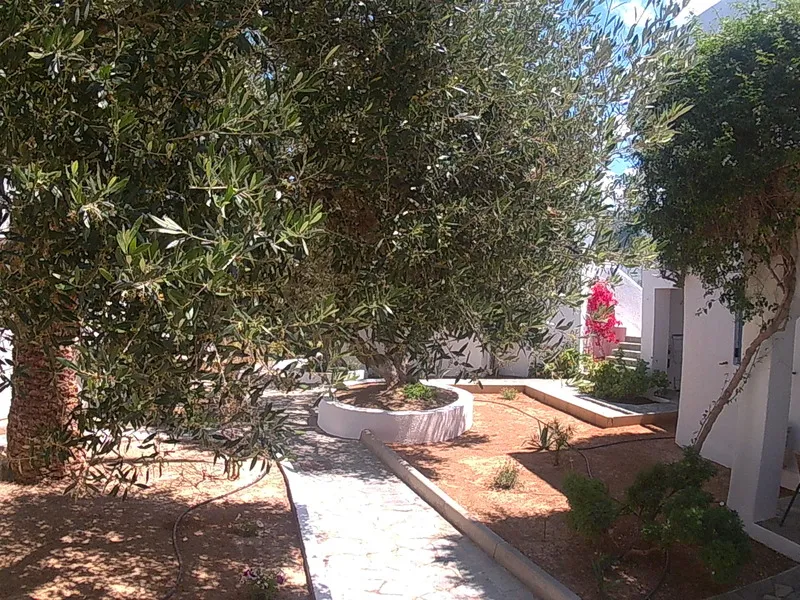 General view, Palatia Village, Crete