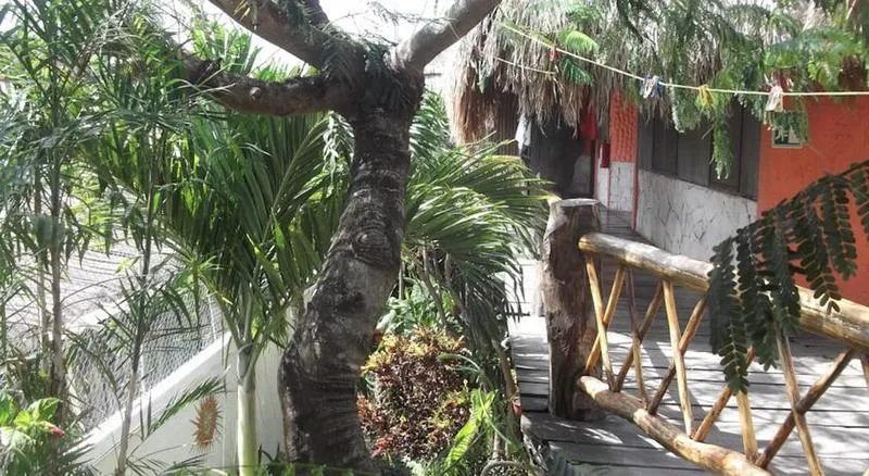 Lobby, L.Hotelito, Cancun Area