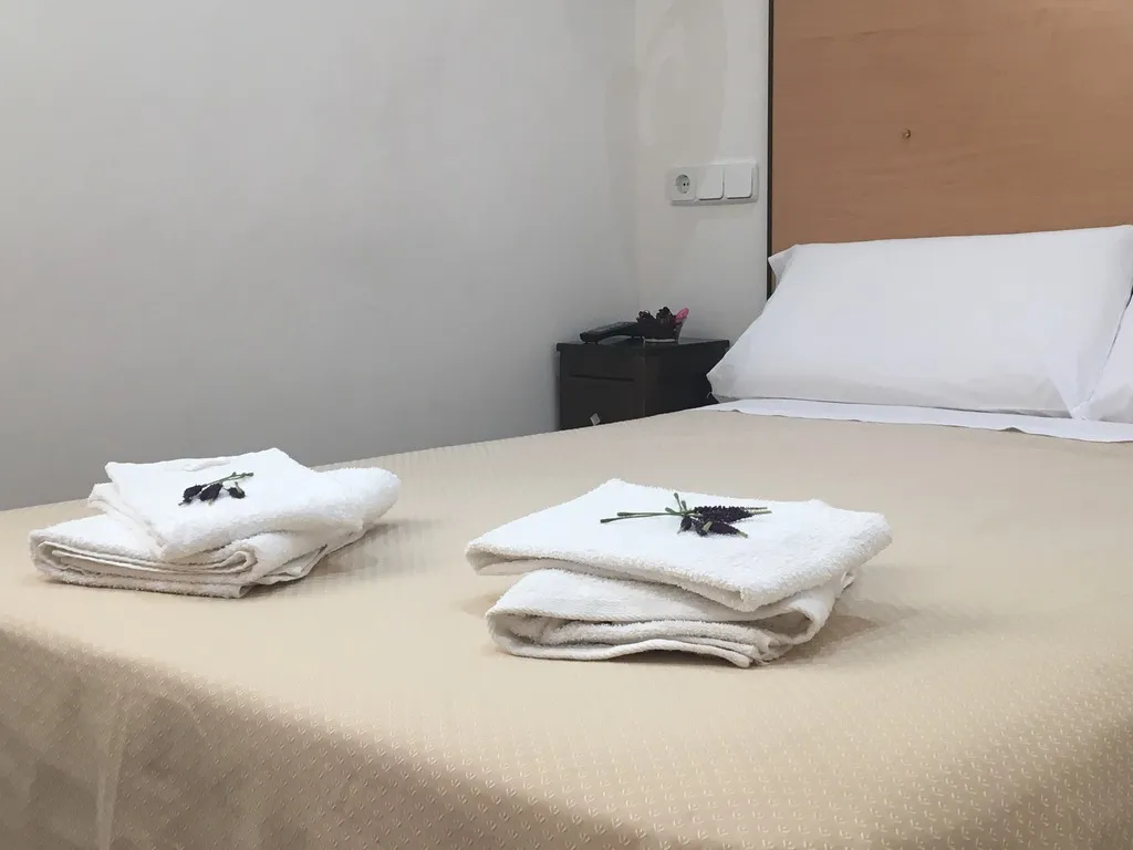 DOUBLE STANDARD Room, Hostal Residencia Lido, Madrid