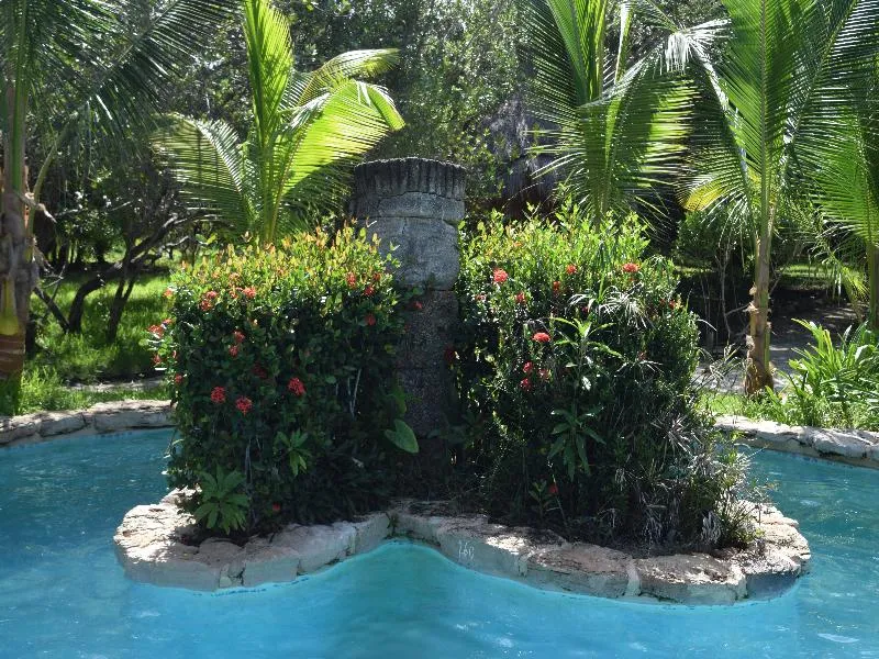 Pool, Villas Delfines, Cancun Area