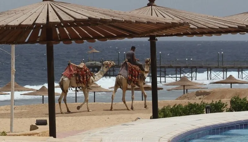 Beach, Life Resort Marsa Alam (Ex. Coral Hills), Aswan