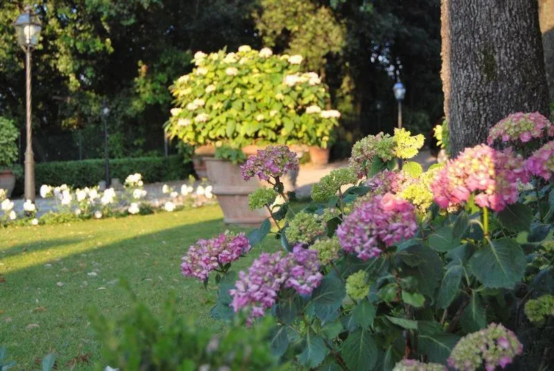 General view, Relais Villa Il Sasso, Florence