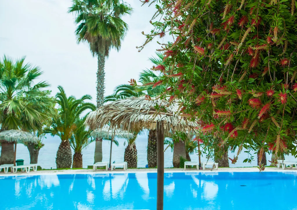 Pool, Corfu Senses Resort, Corfu