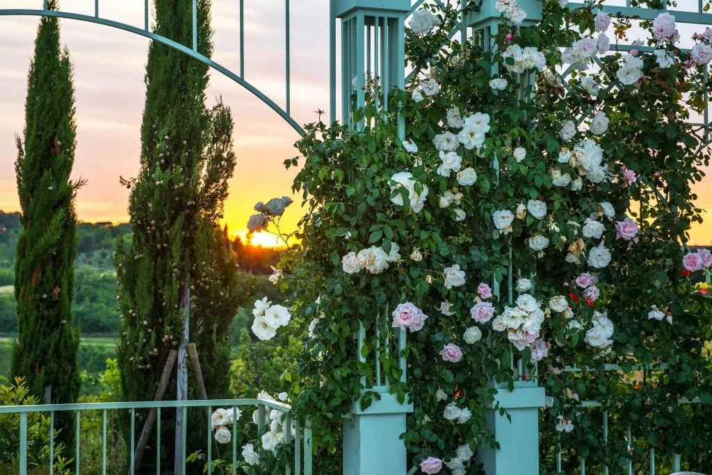 General view, Relais Sassa Al Sole, Florence
