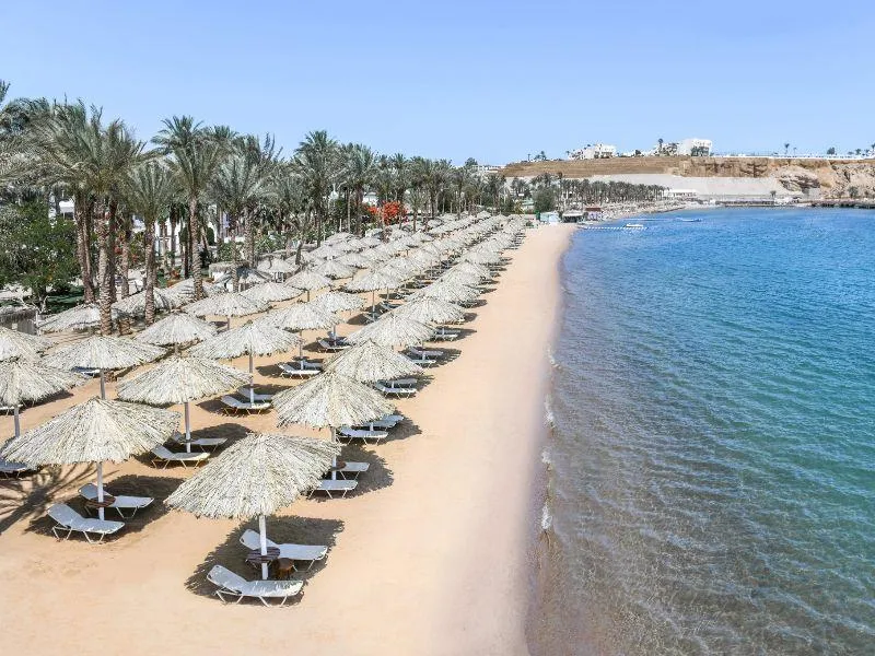Beach, JAZ Elite Palace - Adults Only, Red Sea Riviera