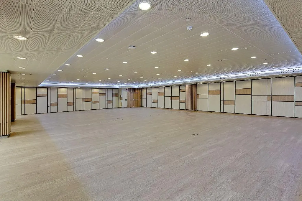Conferences, Melia Avenida America, Madrid
