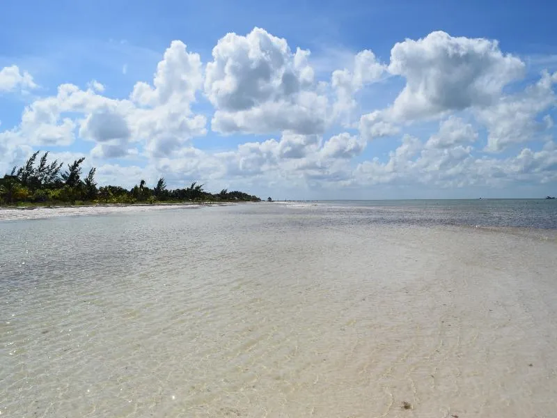 Beach, Villas Delfines, Cancun Area