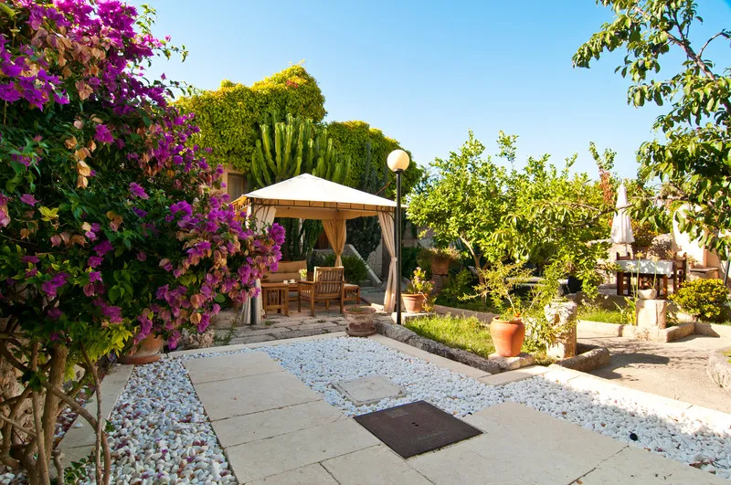 Terrace, Leon de Sineu, Majorca