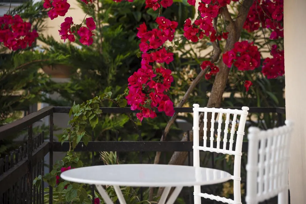 APARTMENT CAPACITY 4 Room, BOHOTEL Eleonas & Annex Apartments, Corfu