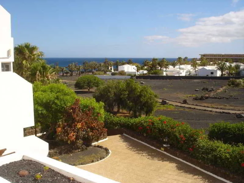 Terrace, Camel Spring, Lanzarote