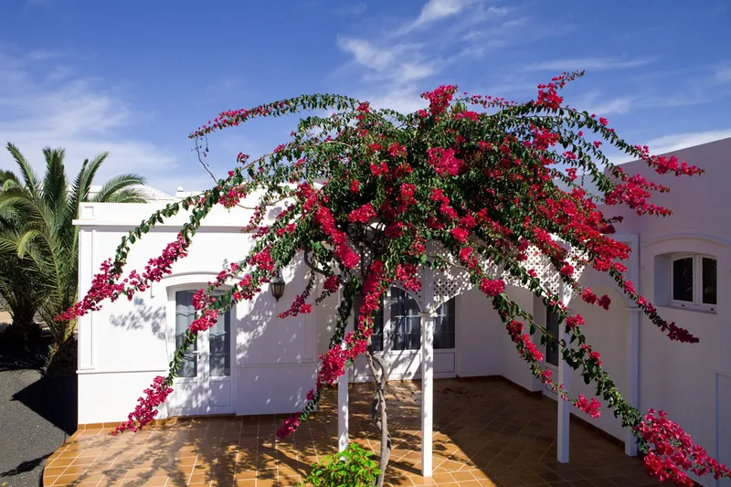 General view, Apartamentos LIVVO Coloradamar, Lanzarote