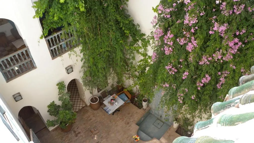 General view, Riad Le Coq Fou, Marrakech
