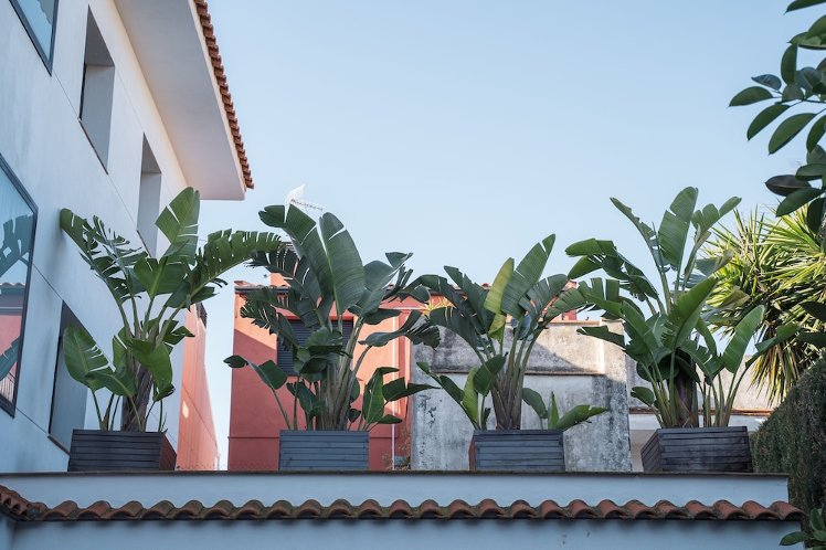 Beatrix 2000 - Caliu Apartments, Costa Brava