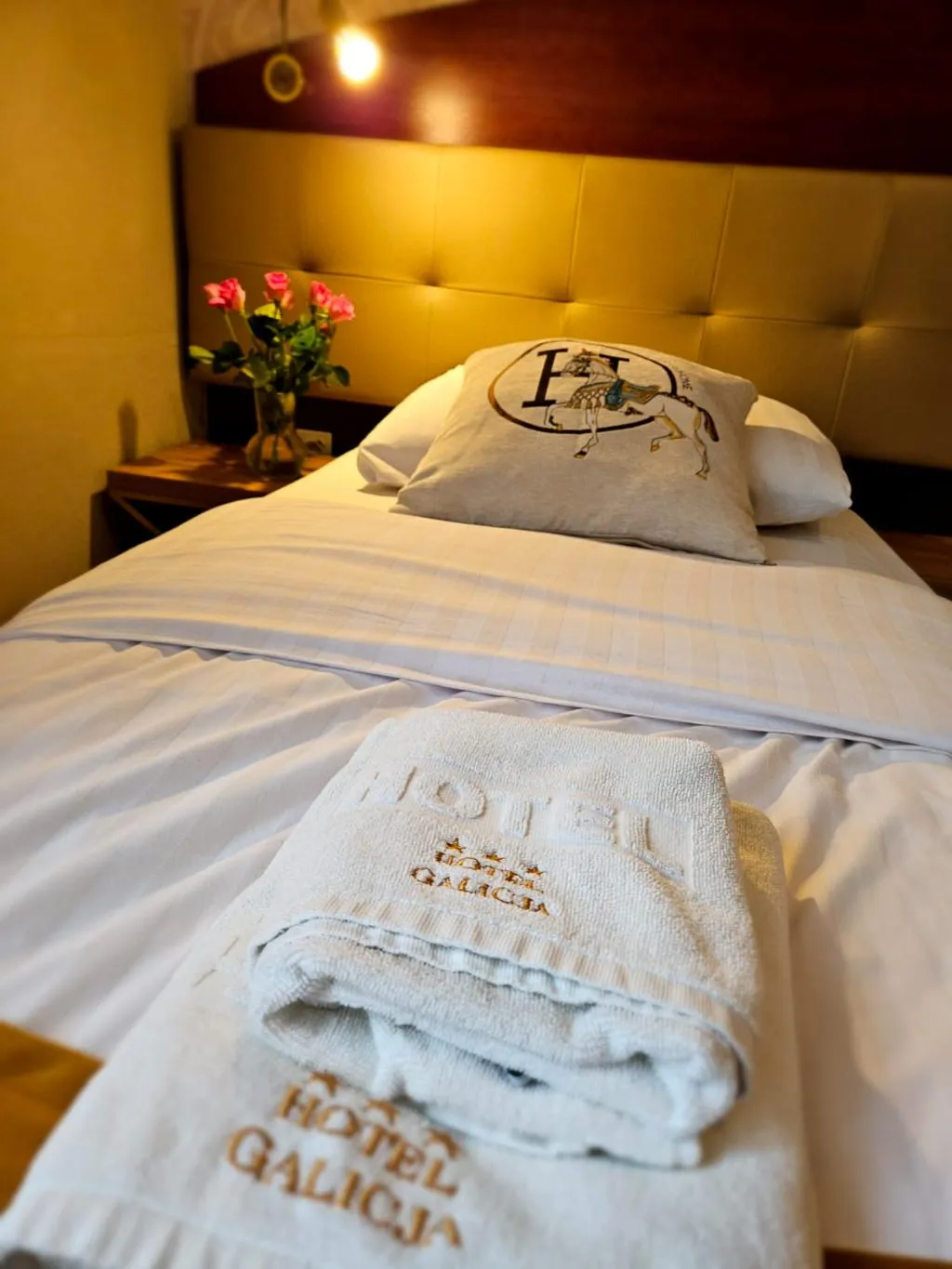 SINGLE STANDARD Room, Galicja, Krakow