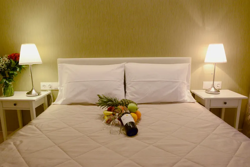 Double or Twin STANDARD Room, Phidias Hotel by Oniro, Athens