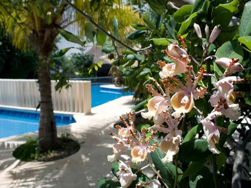 Pool, Sotavento Hotel & Yacht Club Cancun, Cancun Area
