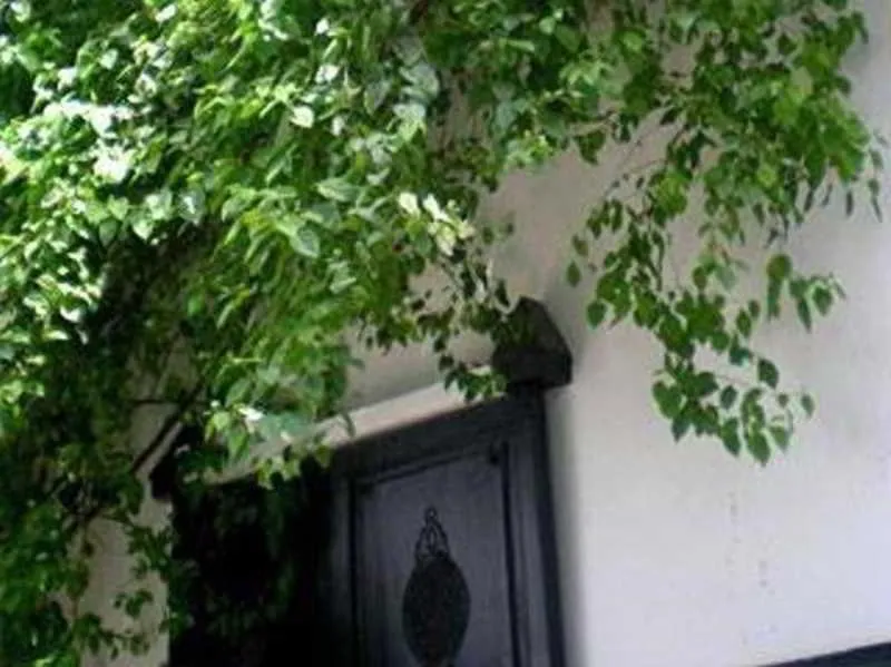 General view, Riad Magellan, Marrakech