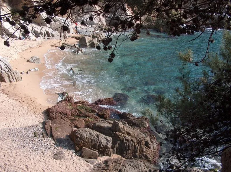 Beach, Evenia Olympic Garden, Costa Brava