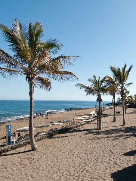 Beach, Camel Spring, Lanzarote