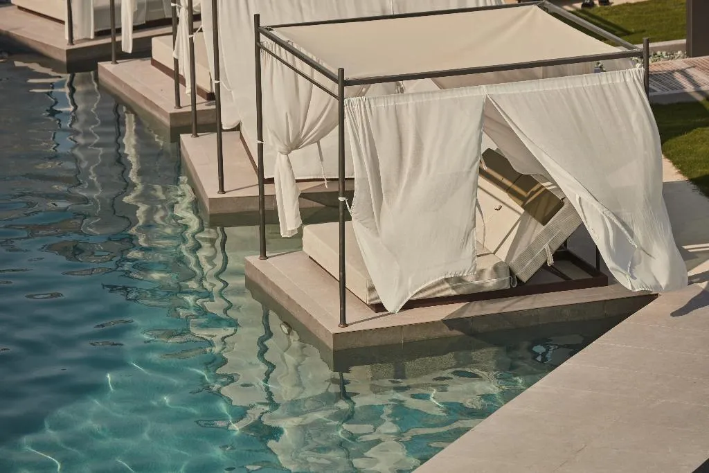 Pool, King Jason Zante – Designed For Adults, Zante