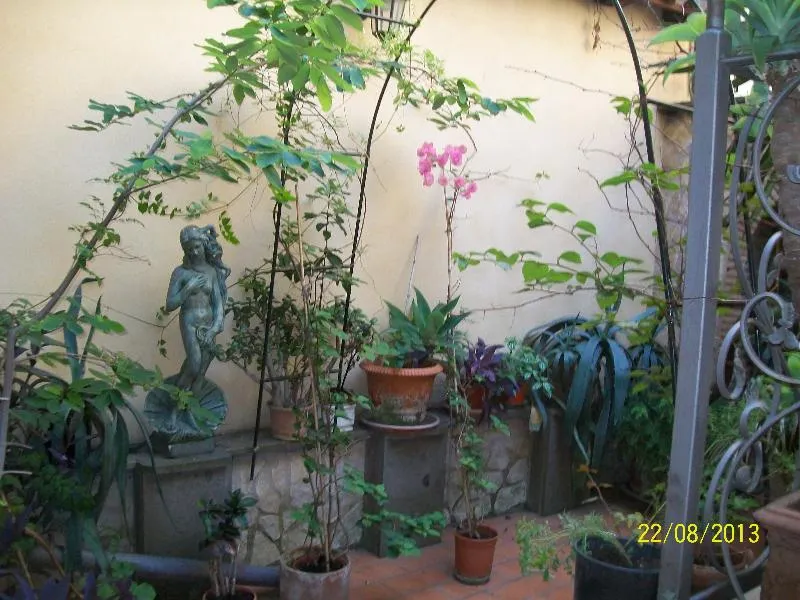 Terrace, Alexis, Rome